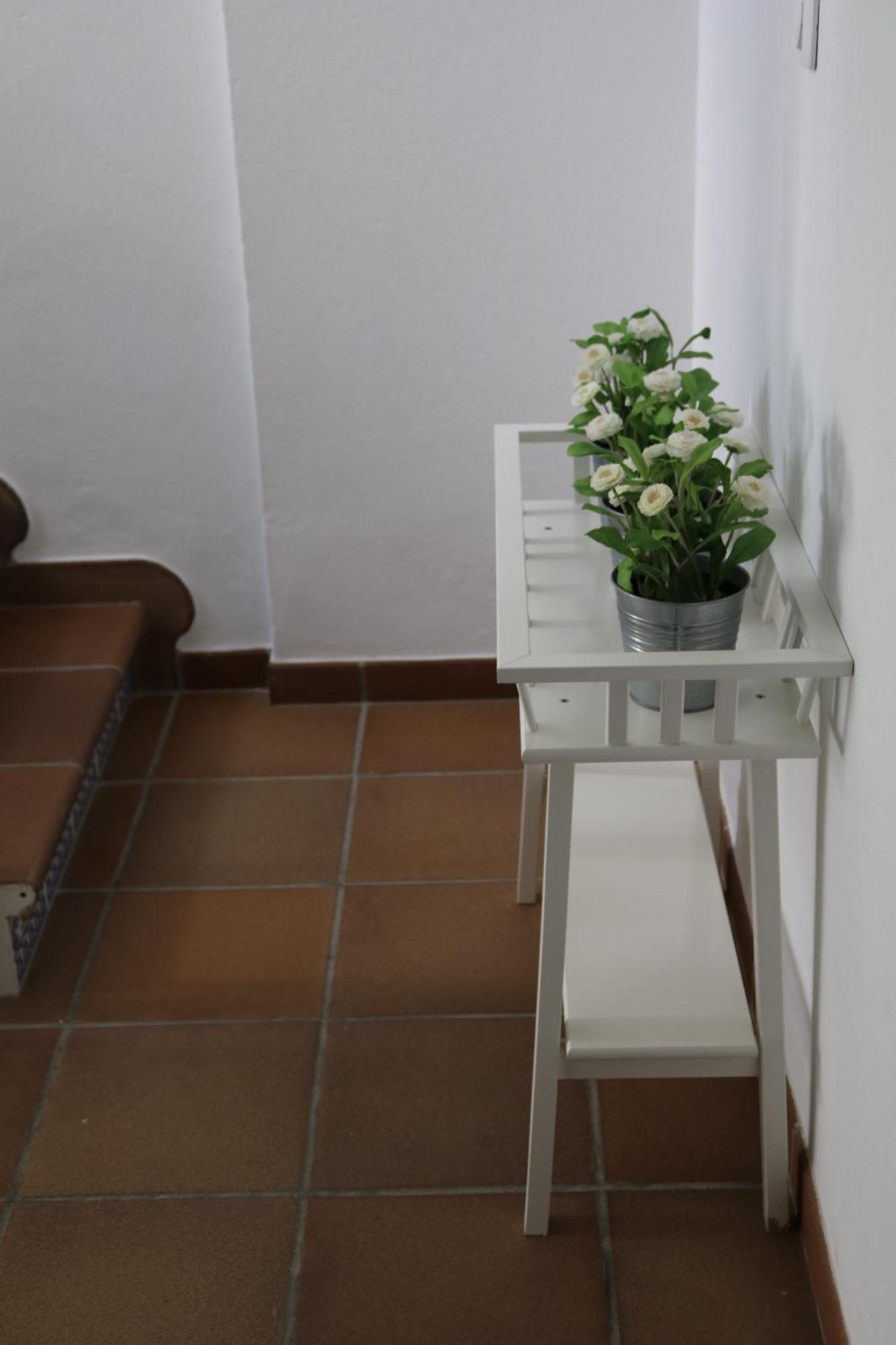 Los Balcones Del Molinero Vejer de la Frontera Ngoại thất bức ảnh